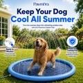 Pawmora SplashPad™