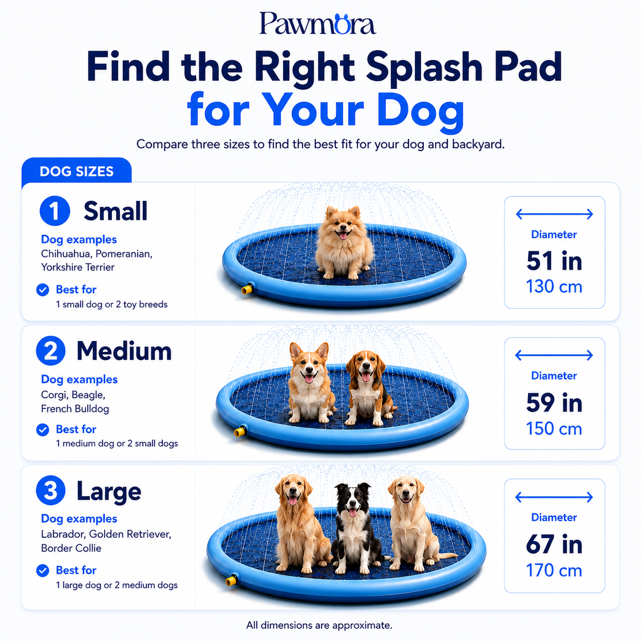 Pawmora SplashPad™